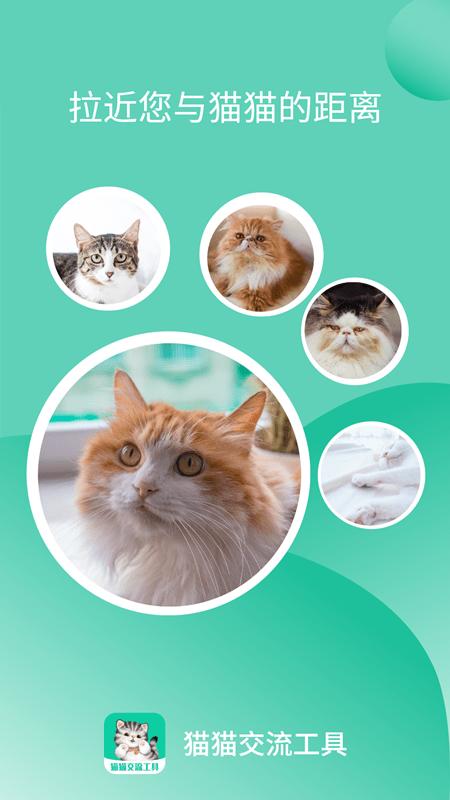 猫猫交流工具最新版下载,猫猫交流工具,猫语翻译app