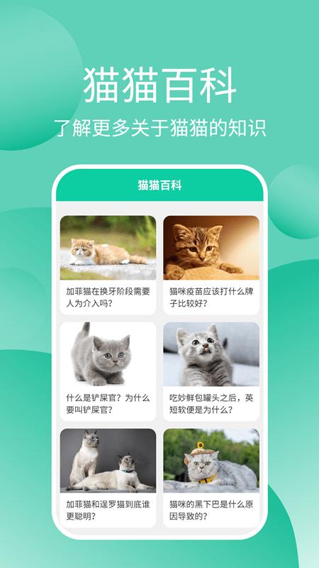 猫猫交流工具最新版下载,猫猫交流工具,猫语翻译app
